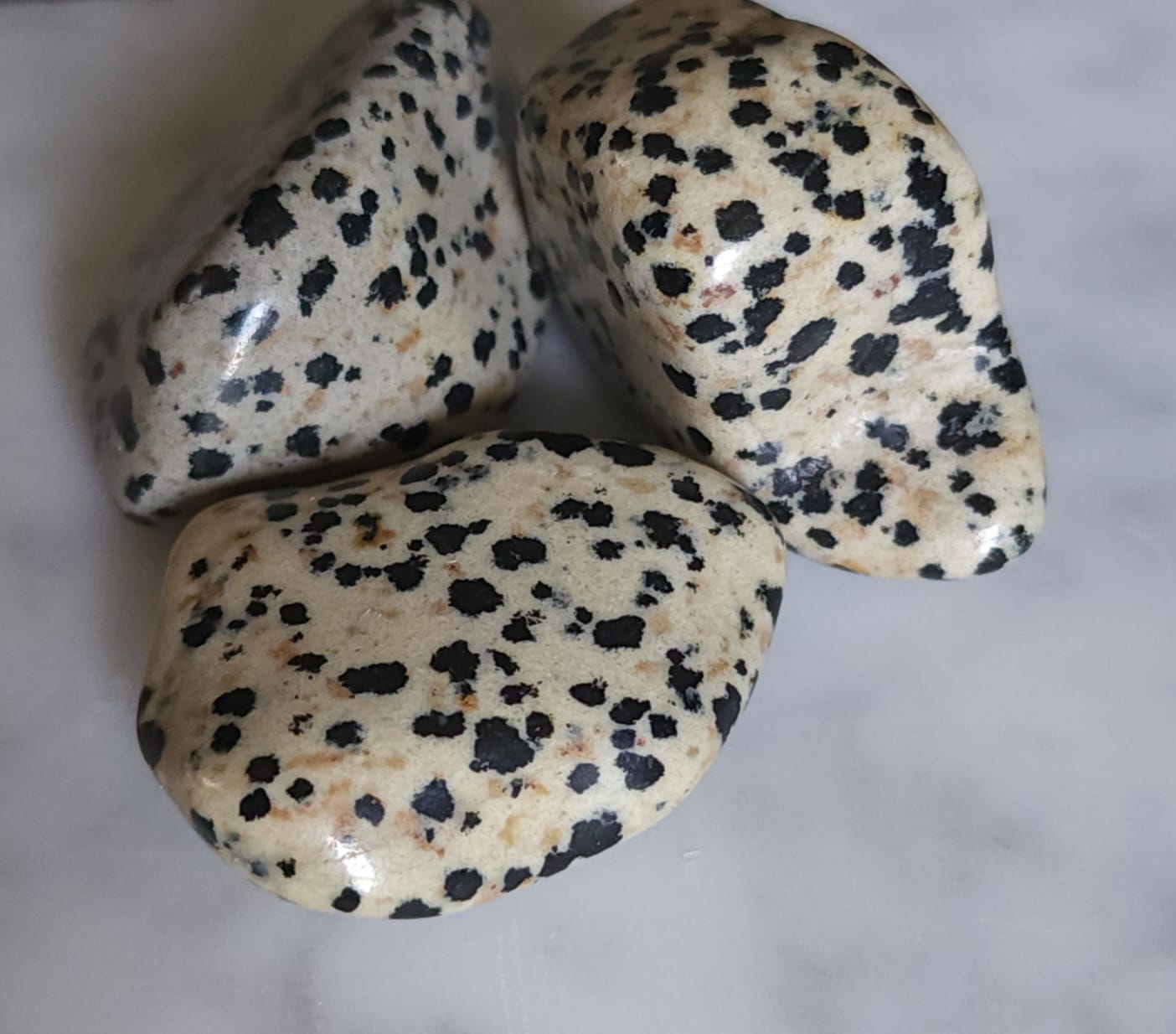 Dalmatian Jasper Tumbled Stones