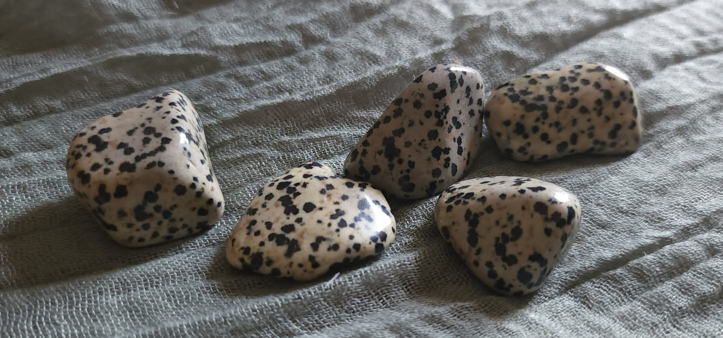 Dalmatian Jasper Tumbled Stones