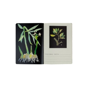 Flora Magic Garden Notebook