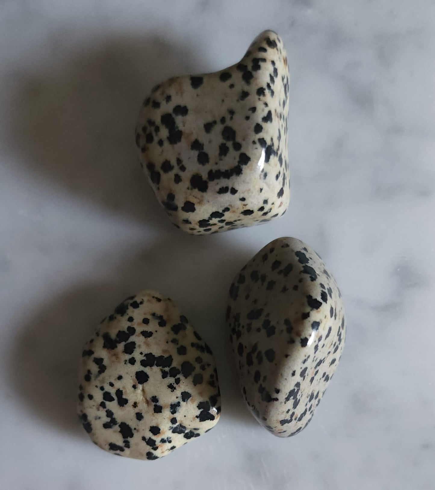 Dalmatian Jasper Tumbled Stones