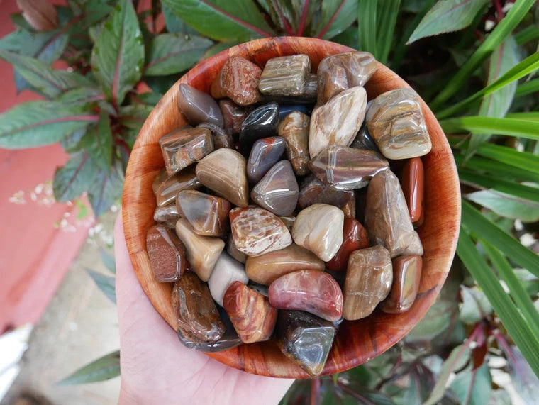 Petrified Wood Stone