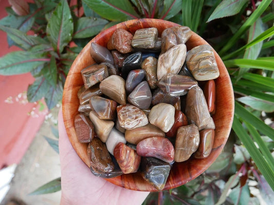 Petrified Wood Stone