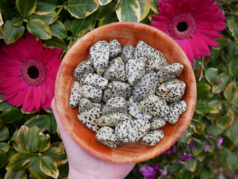 Dalmatian Jasper Tumbled Stones